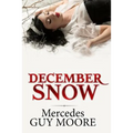 December Snow