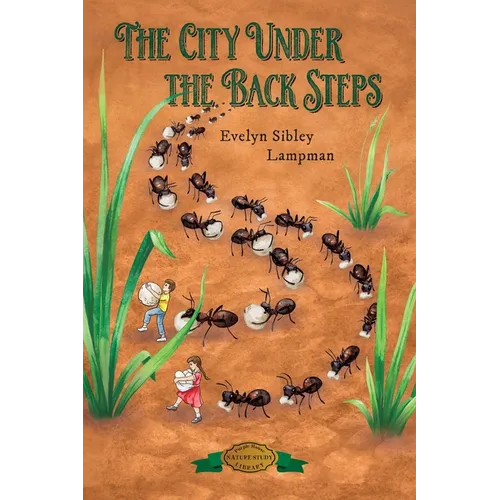 The City Under the Back Steps - Paperback