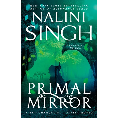 Primal Mirror