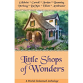 Little Shops of Wonders