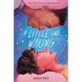 A Little Like Waking