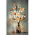 The Chasm Between Us