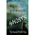 No Such Thing as Ghosts