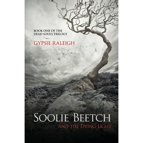 Soolie Beetch and the Dying Light