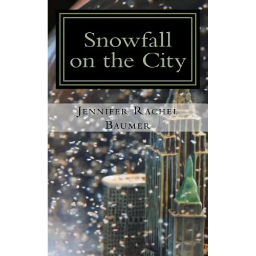 Snowfall on the City