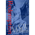 Redemption A Gay Paranormal Mystery / Love Story