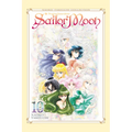 Sailor Moon 10 (Naoko Takeuchi Collection)