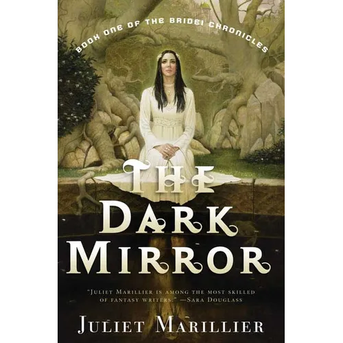The Dark Mirror: Book One of the Bridei Chronicles