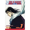 Bleach, Vol. 7: The Broken Coda