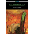 A Voyage to Arcturus