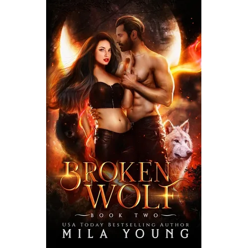 Broken Wolf: Paranormal Romance