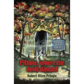 Pithole: Where the Devil Danced