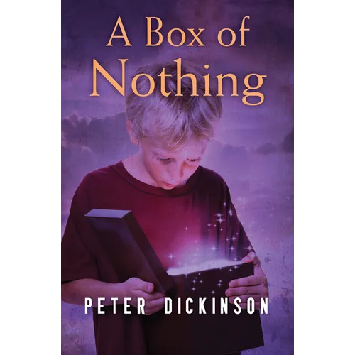 A Box of Nothing