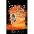 A Love Like Fire: High Fantasy M/M Romance