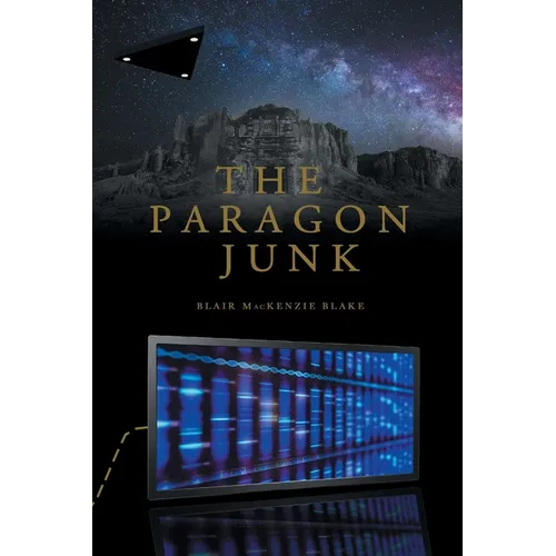The Paragon Junk