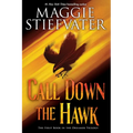 Call Down the Hawk (the Dreamer Trilogy, Book 1)