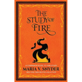 The Study of Fire