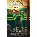 Carter and the Curious Maze: Weird Stories Gone Wrong