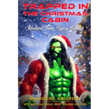 Trapped in the Christmas Cabin
