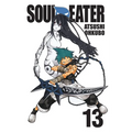 Soul Eater, Vol. 13