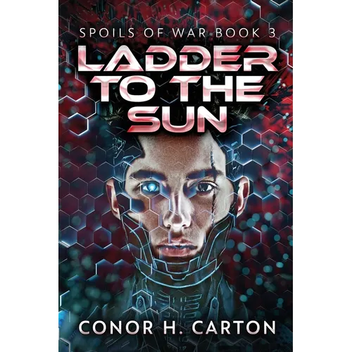 Ladder To The Sun