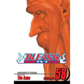 Bleach, Vol. 58: The Fire