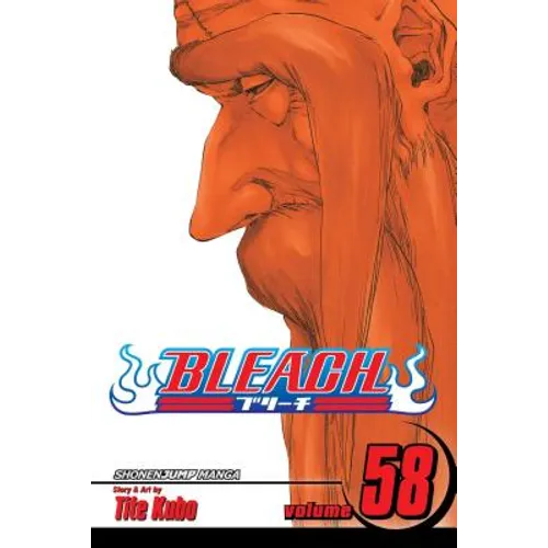 Bleach, Vol. 58: The Fire