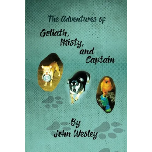 The Adventures of Goliath, Misty, and Captain