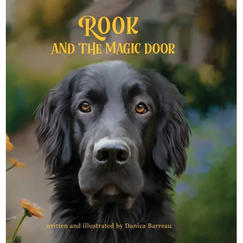 Rook and the Magic Door: Written and Illustrated by Danica Barreau