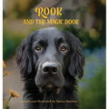 Rook and the Magic Door: Written and Illustrated by Danica Barreau