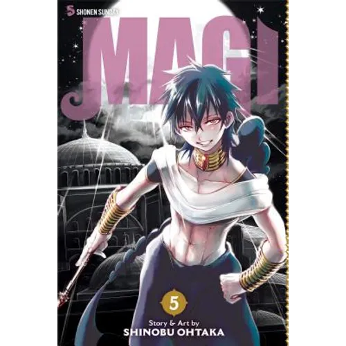 Magi: The Labyrinth of Magic, Vol. 5: The Labyrinth of Magic