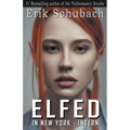 Elfed In New York: Intern