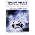 Star Trek: Deep Space Nine: These Haunted Seas