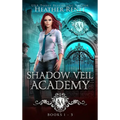 Shadow Veil Academy: Books 1-3