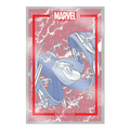 The Marvel Portfolio of Michael Allred -- Silver Surfer