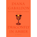 Dragonfly in Amber