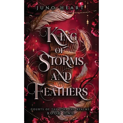 King of Storms and Feathers: A Dark Fae Fantasy Romance