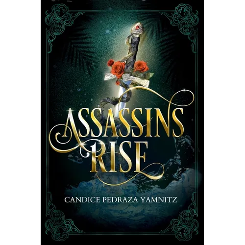 Assassins Rise