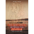 The Quiet Spaces Between the Whirlwinds: Paladin Chronicles Book