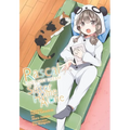 Rascal Does Not Dream of a Sister Home Alone (Manga): Volume 4
