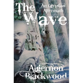 The Wave: An Egyptian Aftermath