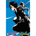 Bleach (3-In-1 Edition), Vol. 18: Includes Vols. 52, 53 & 54
