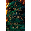 A Single Captive Spark