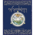 Wizardology: The Book of the Secrets of Merlin