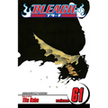 Bleach, Vol. 61: The Last 9 Days