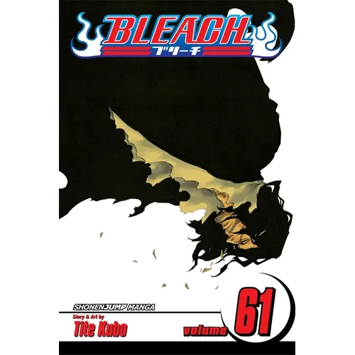 Bleach, Vol. 61: The Last 9 Days