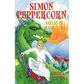 Simon Peppercorn, Log in to Magic Space