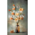The Chasm Between Us