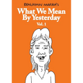 What We Mean by Yesterday: Vol. 1