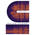 Noise Floor: Stories